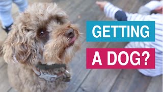 Getting a Puppy Dog for the First Time | Dr Lisa Shares Tips for Families with Kids